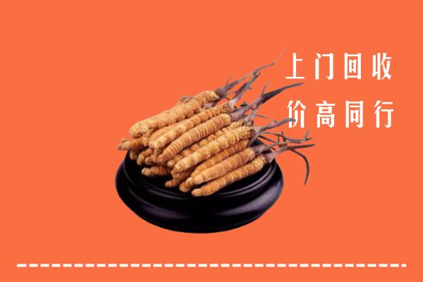 高价求购：灵丘县回收散虫草