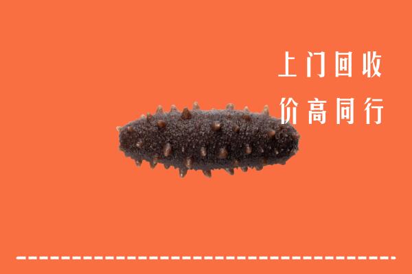 高价求购：灵丘县回收海参
