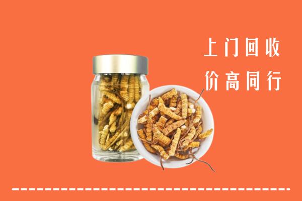 灵丘县回收冬虫夏草