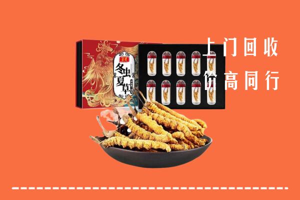 灵丘县回收虫草